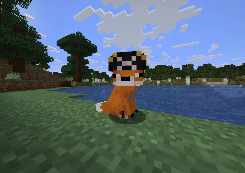 MTW's Pirates CIT Pack, Текстуры, Minecraft