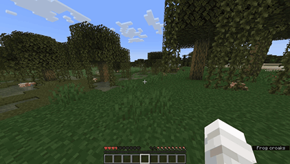 Quality of Queso, Моды, Minecraft