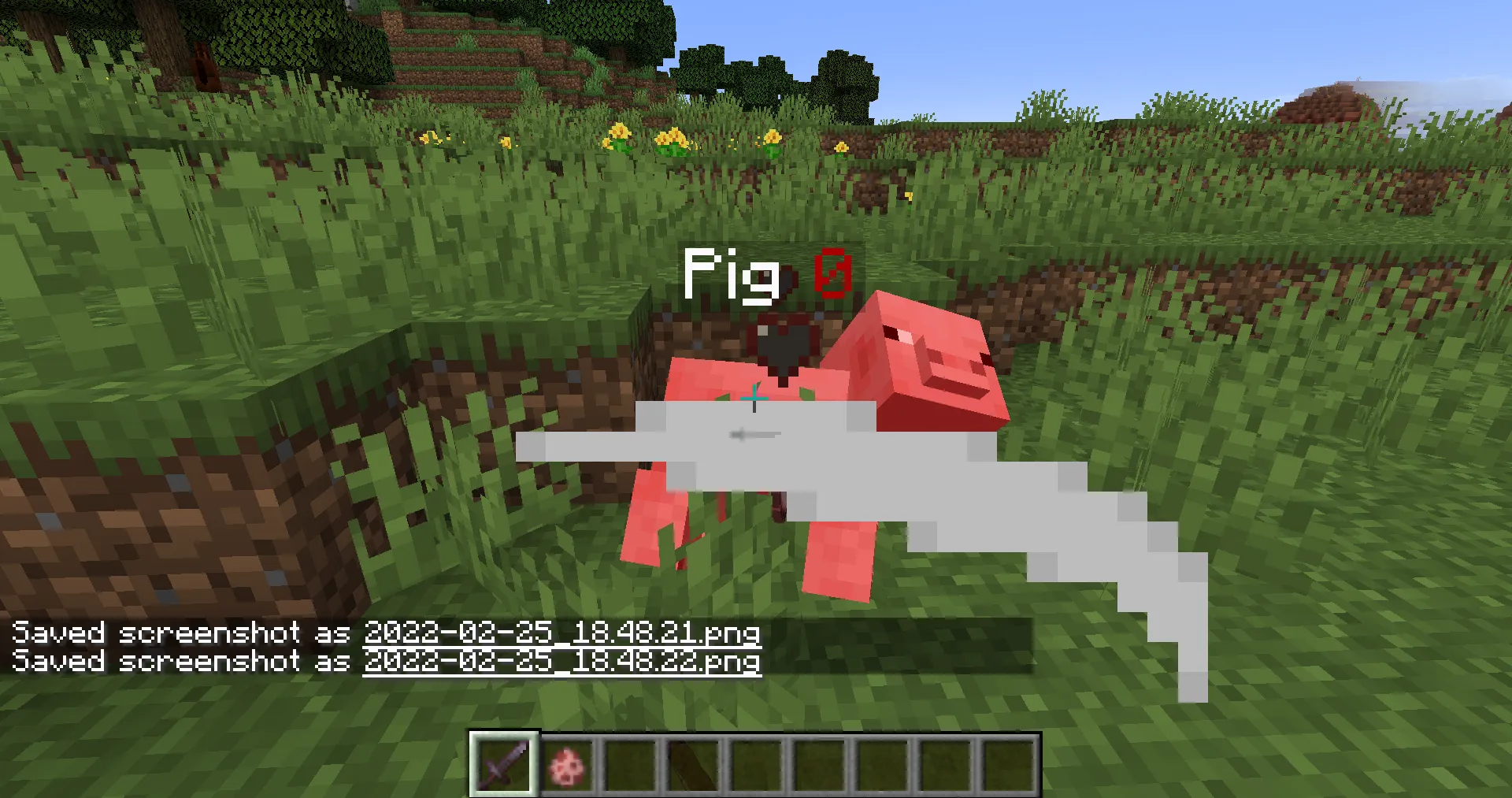 LifeBars, Моды, Minecraft
