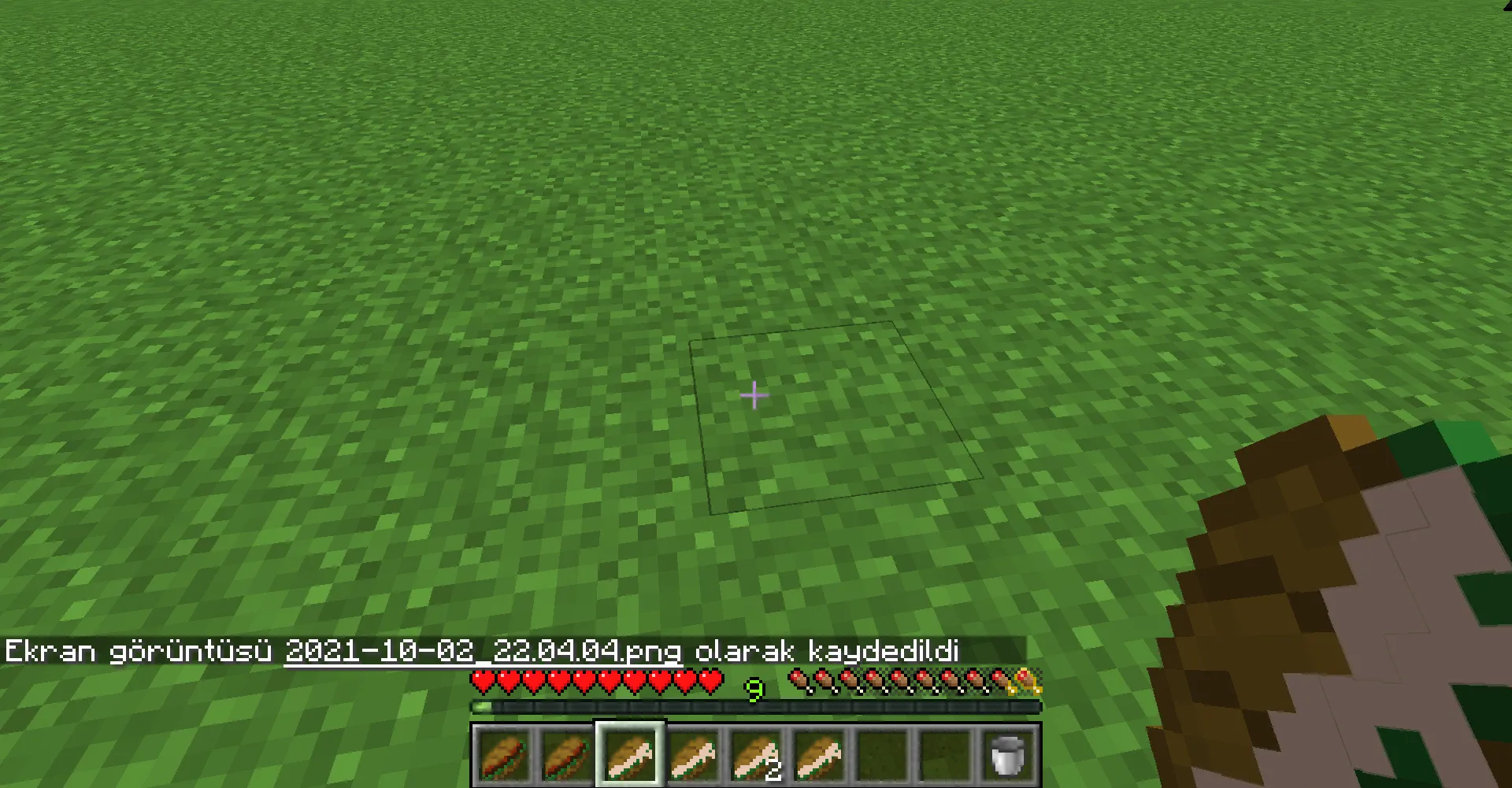 Ardinyo's foods — скриншот 2 (Моды, Minecraft)