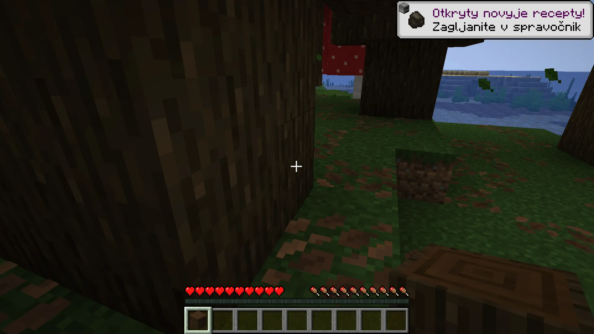 Russkaja Latinica (Russian Latin) — скриншот 6 (Текстуры, Minecraft)