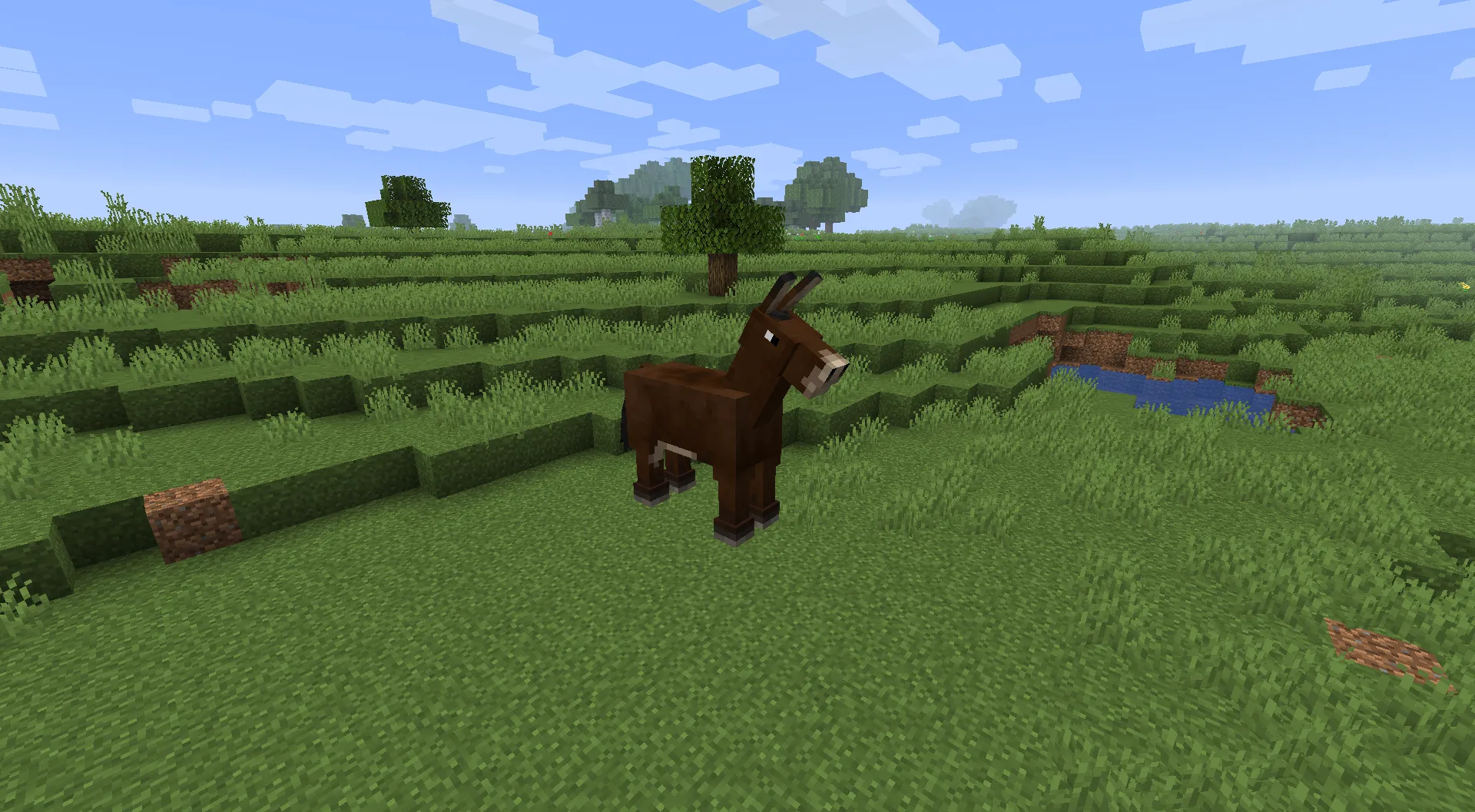 Old Horses in 1.13/1.14+ — скриншот 2 (Текстуры, Minecraft)