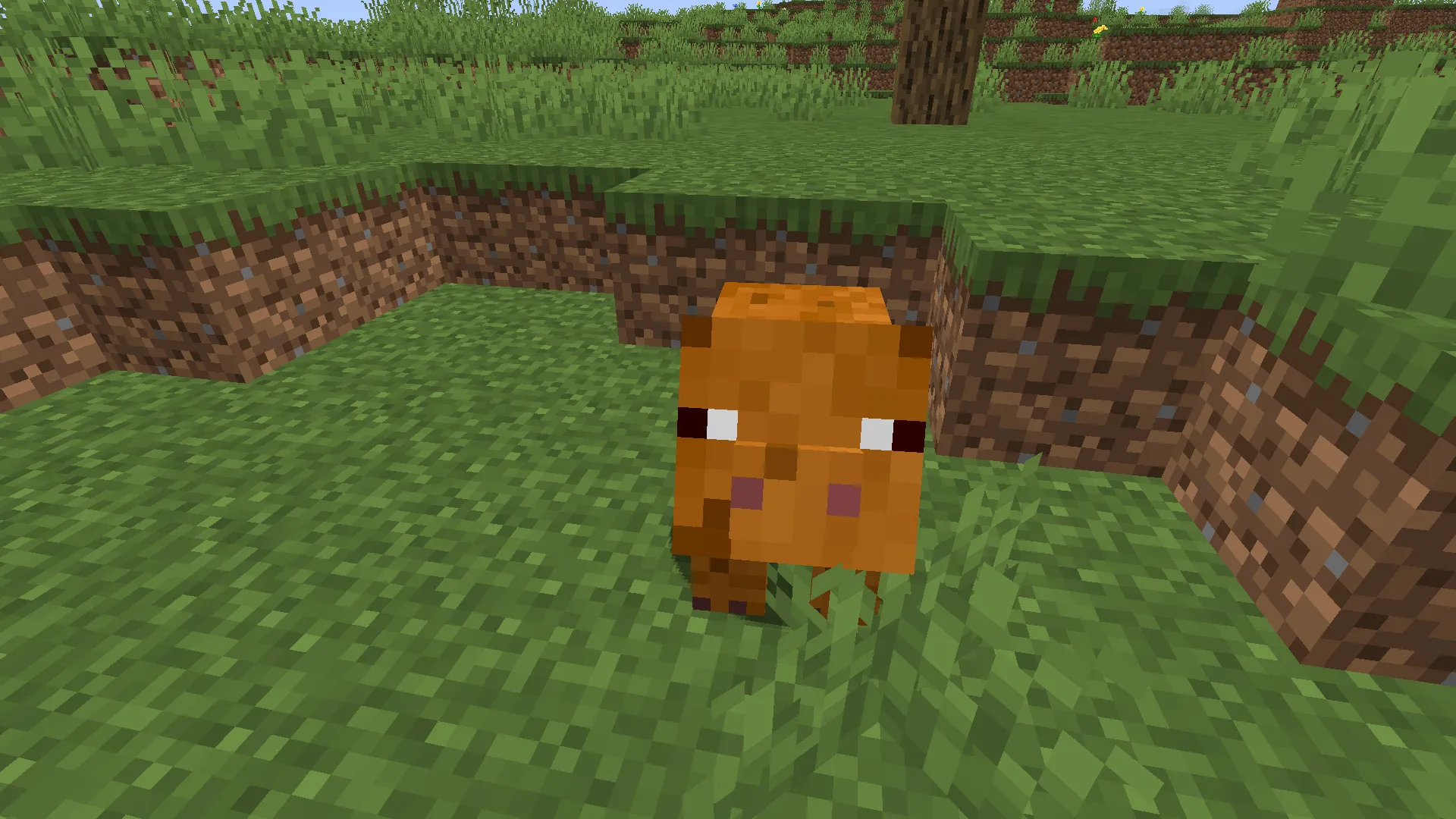 More Pigs, Моды, Minecraft