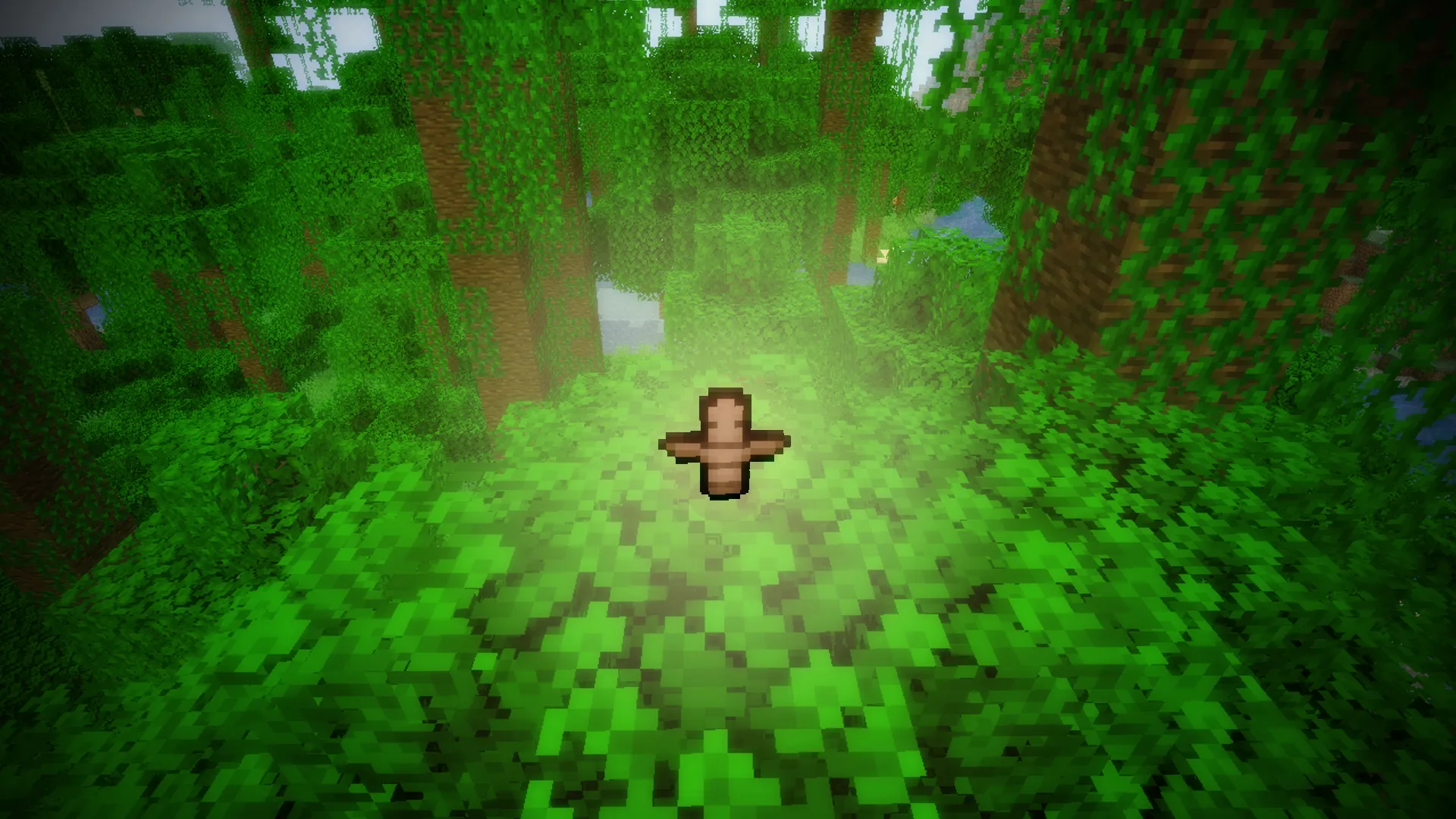 Jungle Expansion, Моды, Minecraft