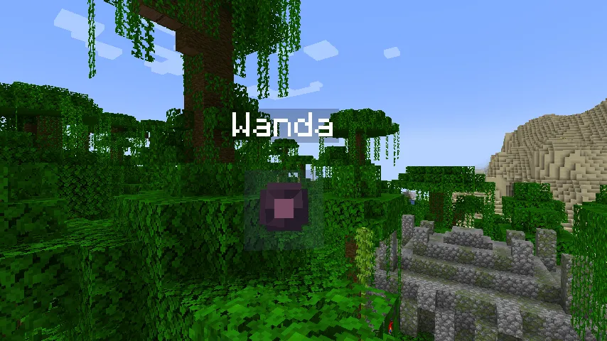 Specter Companion, Моды, Minecraft