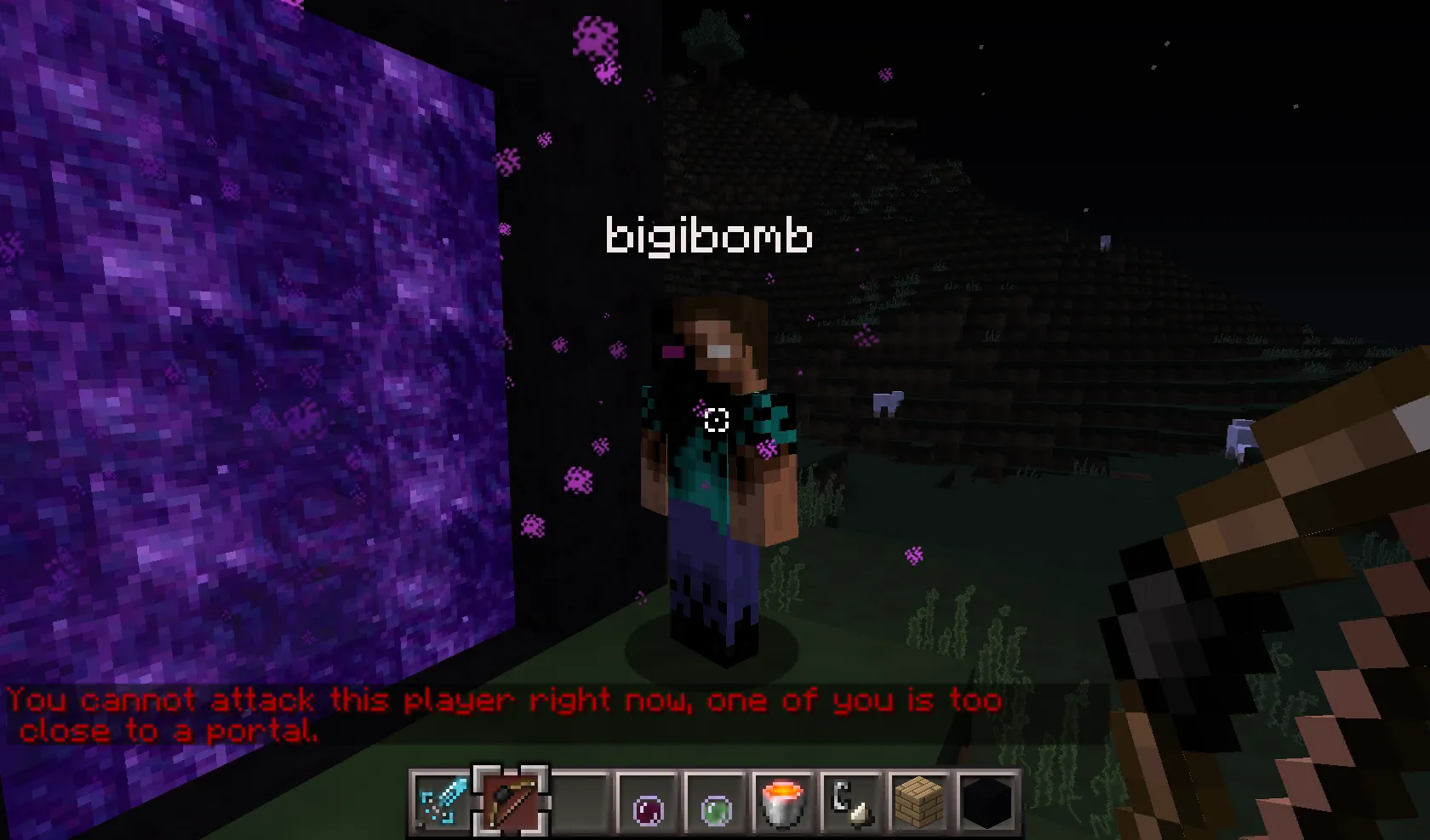 PortalProtector — скриншот 5 (Плагины, Minecraft)
