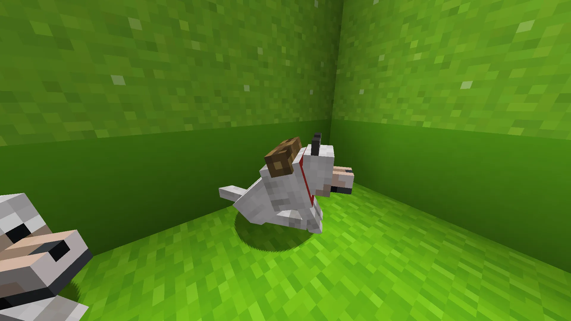 Dream Dog — скриншот 2 (Текстуры, Minecraft)