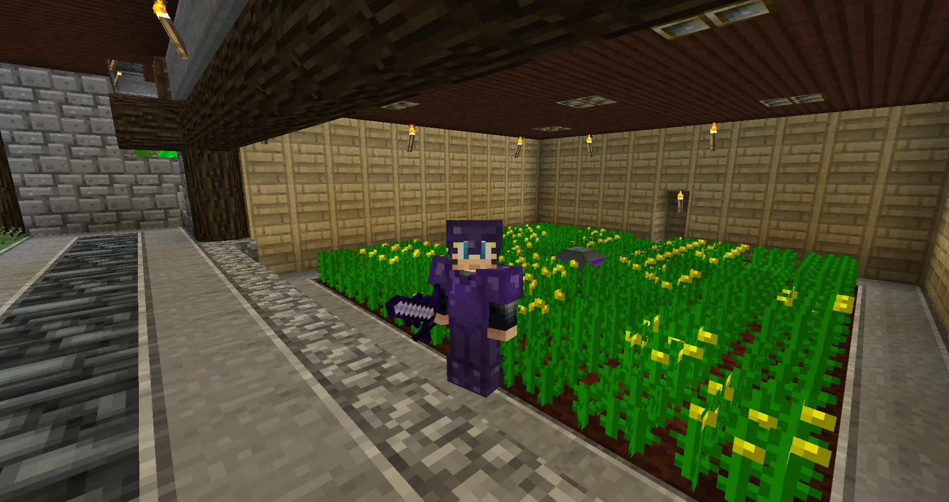 Medieval Times, the Dragon era, Модпаки, Minecraft