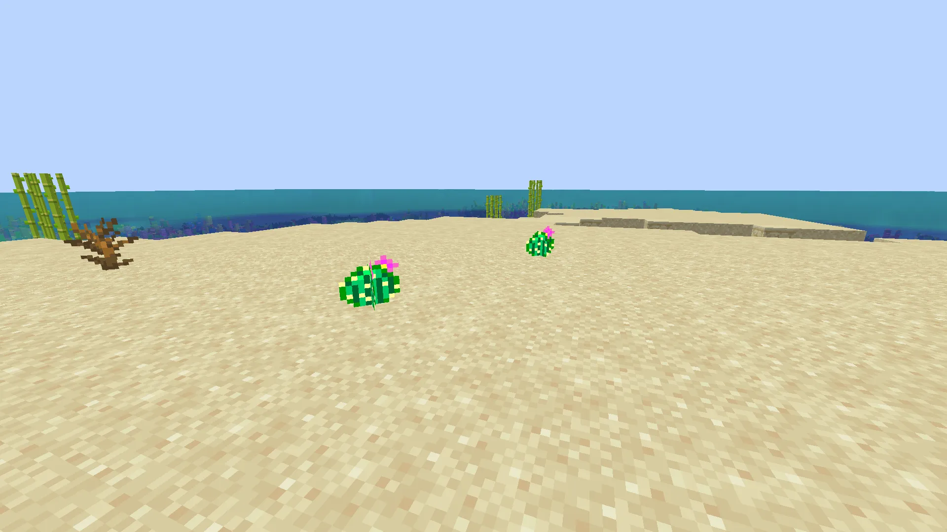 Ash & Cacti — скриншот 7 (Моды, Minecraft)
