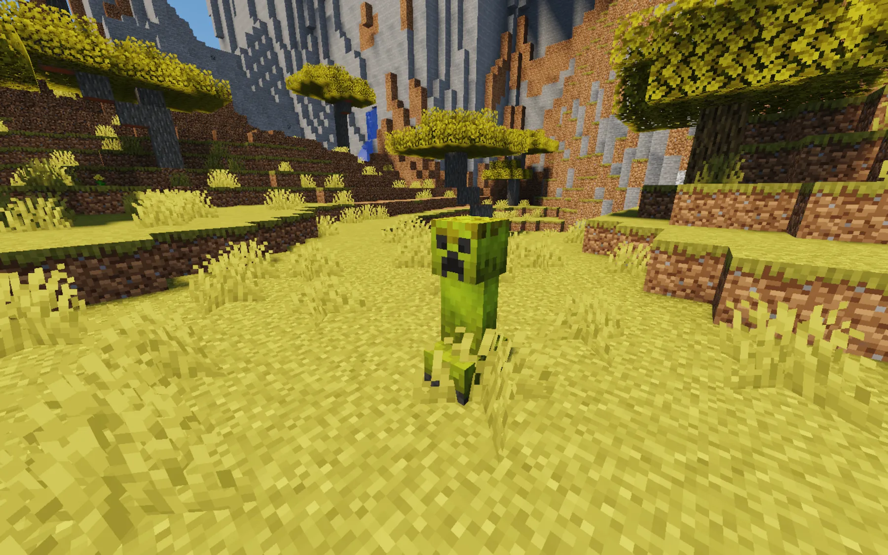 Camouflaged Creepers, Текстуры, Minecraft