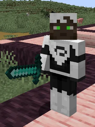 Phantom Accessories, Моды, Minecraft