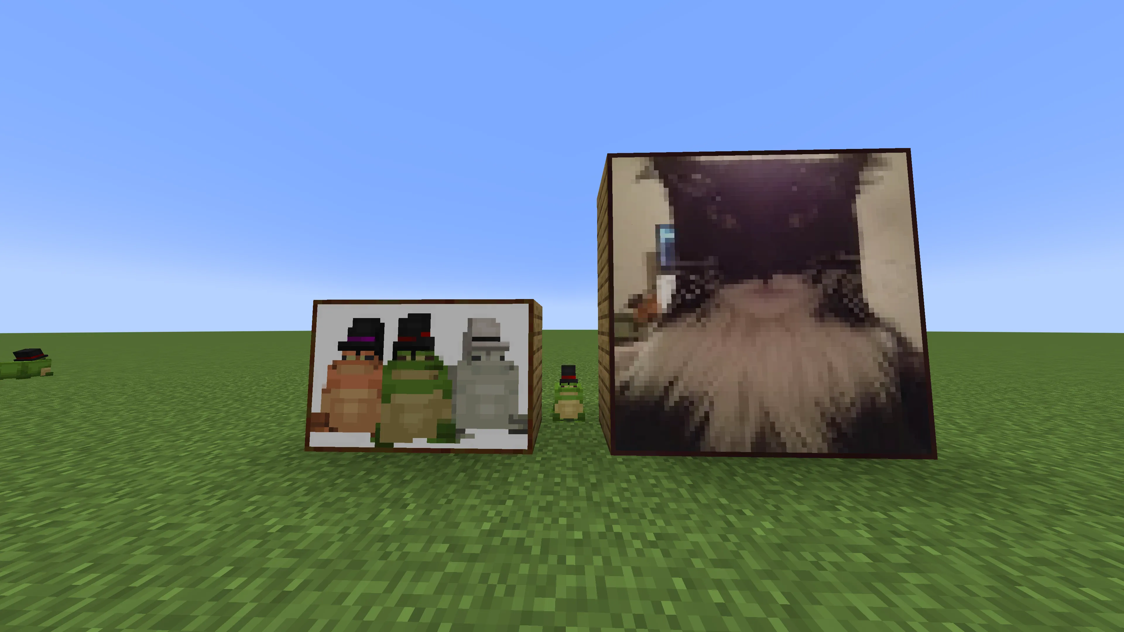 PinkSlime's Toads, Моды, Minecraft