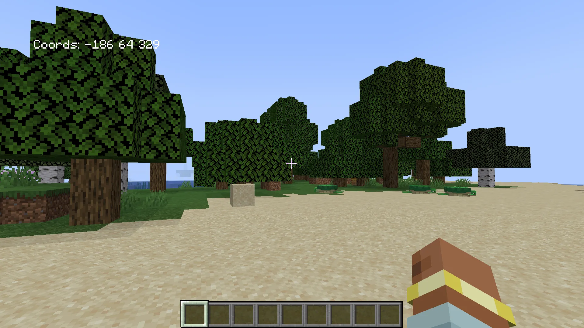Visible coords, Моды, Minecraft