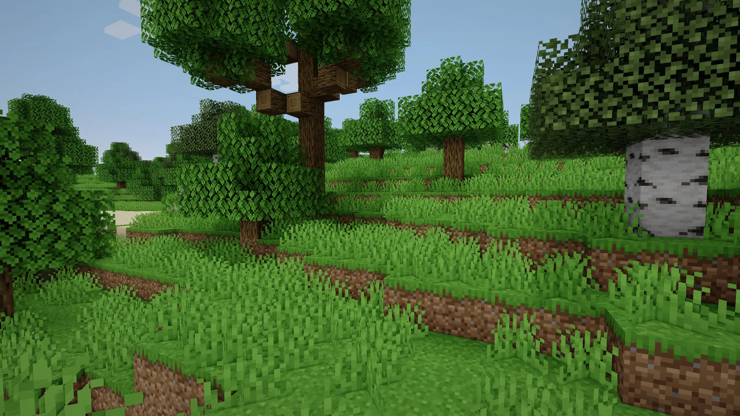 More Grass — скриншот 2 (Текстуры, Minecraft)