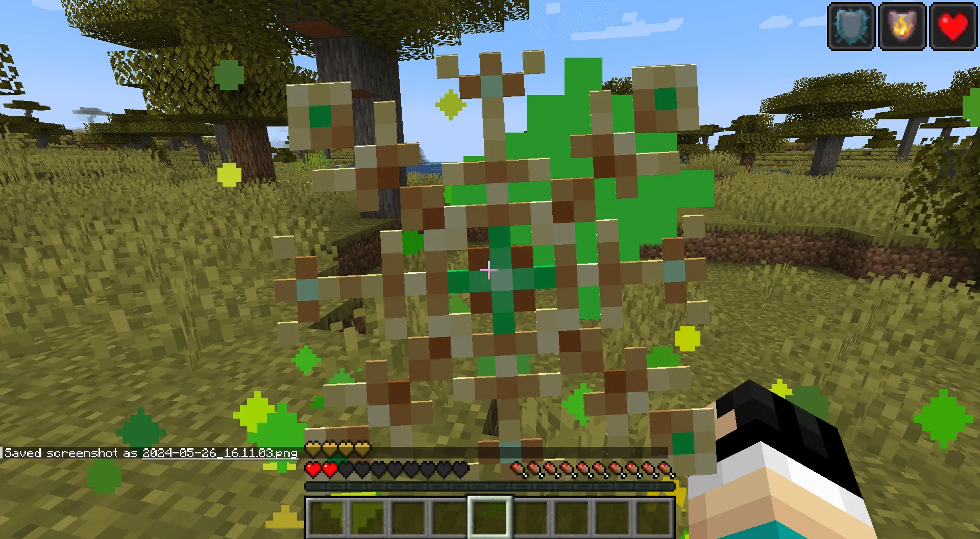 Snowflake of Undying, Текстуры, Minecraft