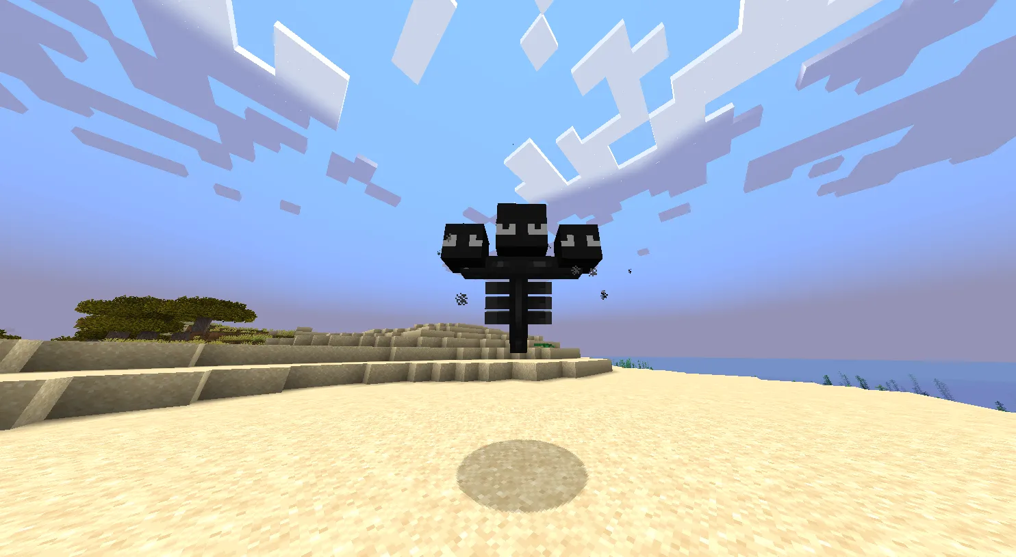 "Noodle Head" Wither, Текстуры, Minecraft