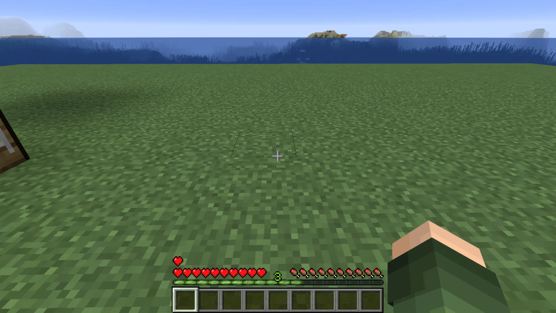ExtraHeart !, Моды, Minecraft