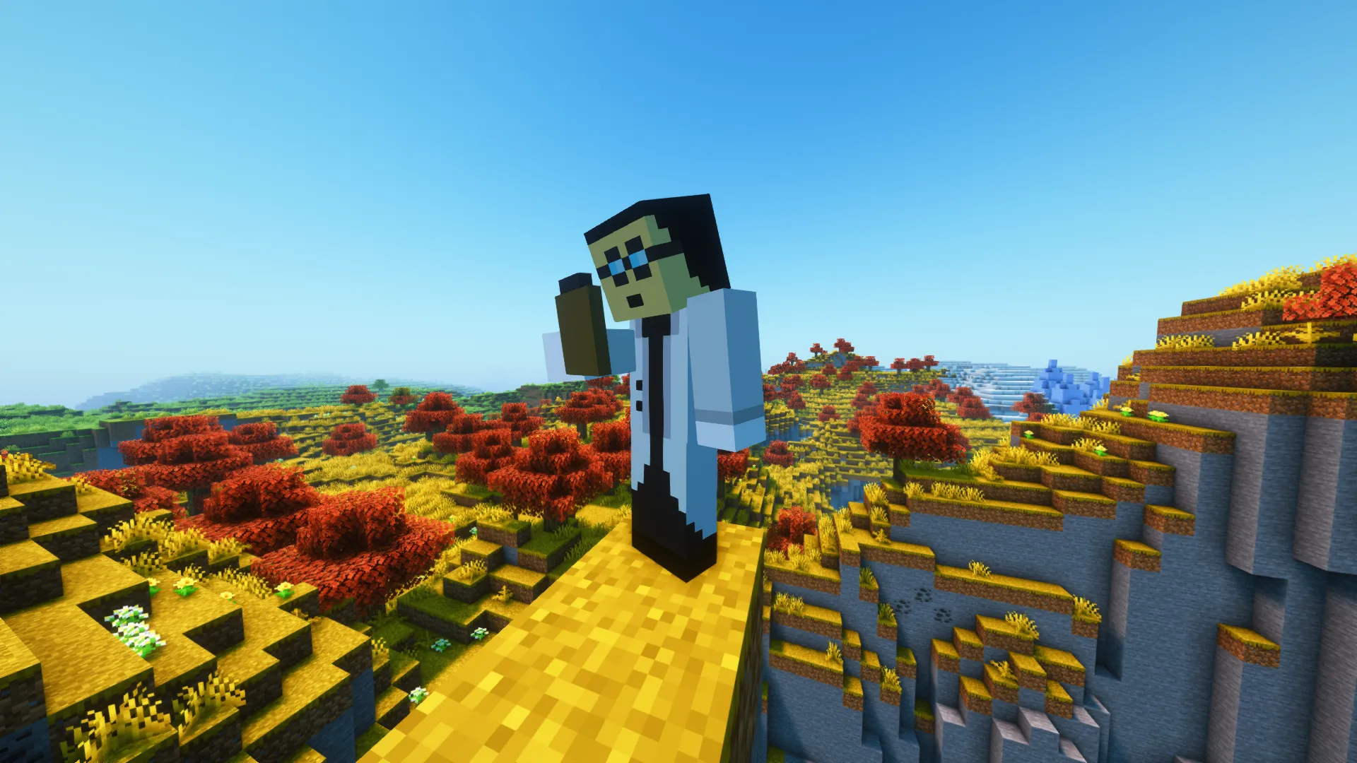 Barkity Into The Verse, Моды, Minecraft