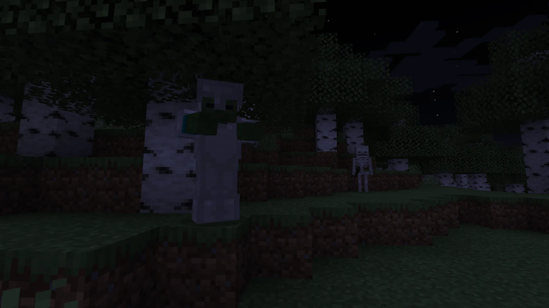 Skeleton Weapons and Co, Моды, Minecraft