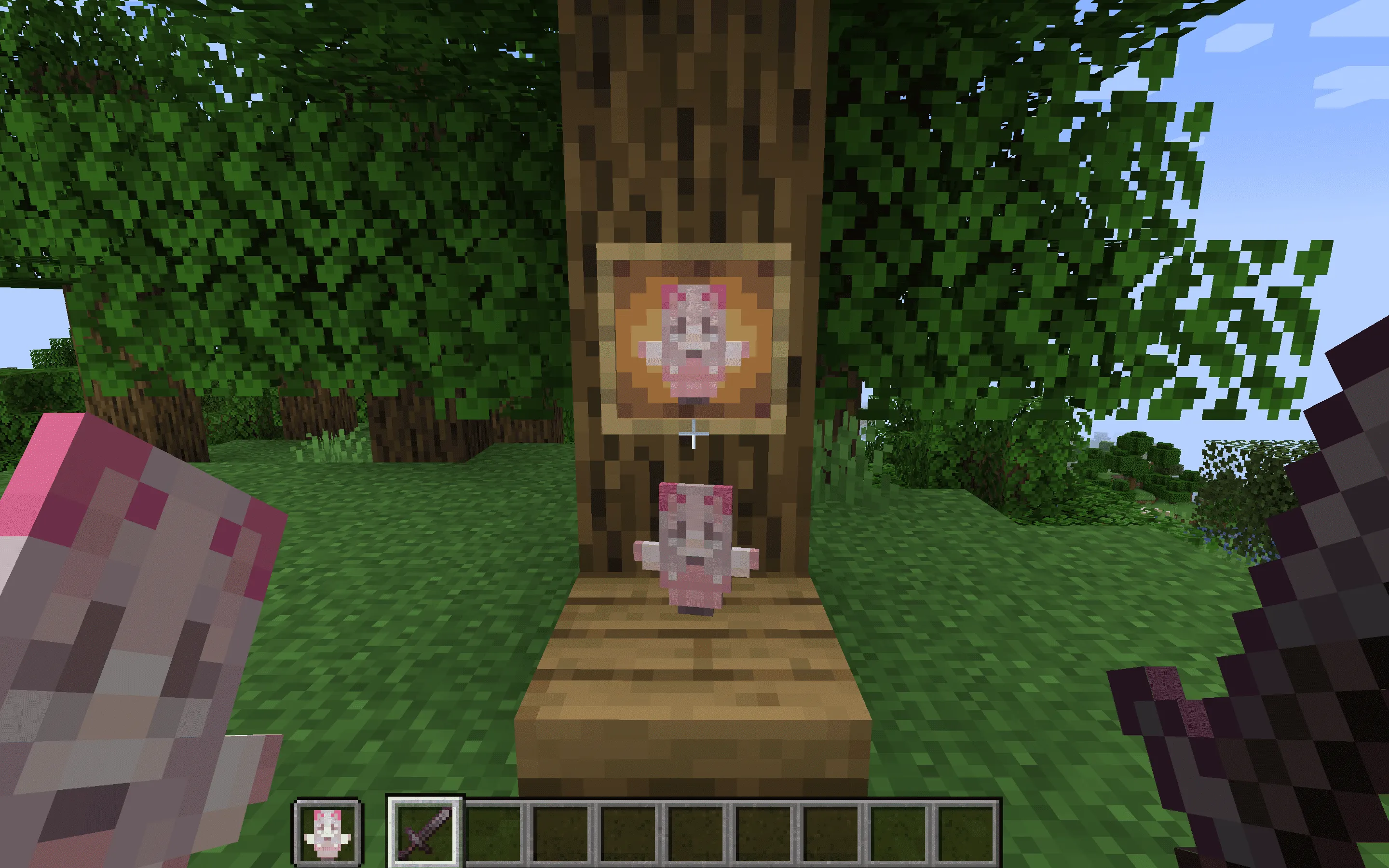 Pink Girlfriend Totem of Undying, Текстуры, Minecraft
