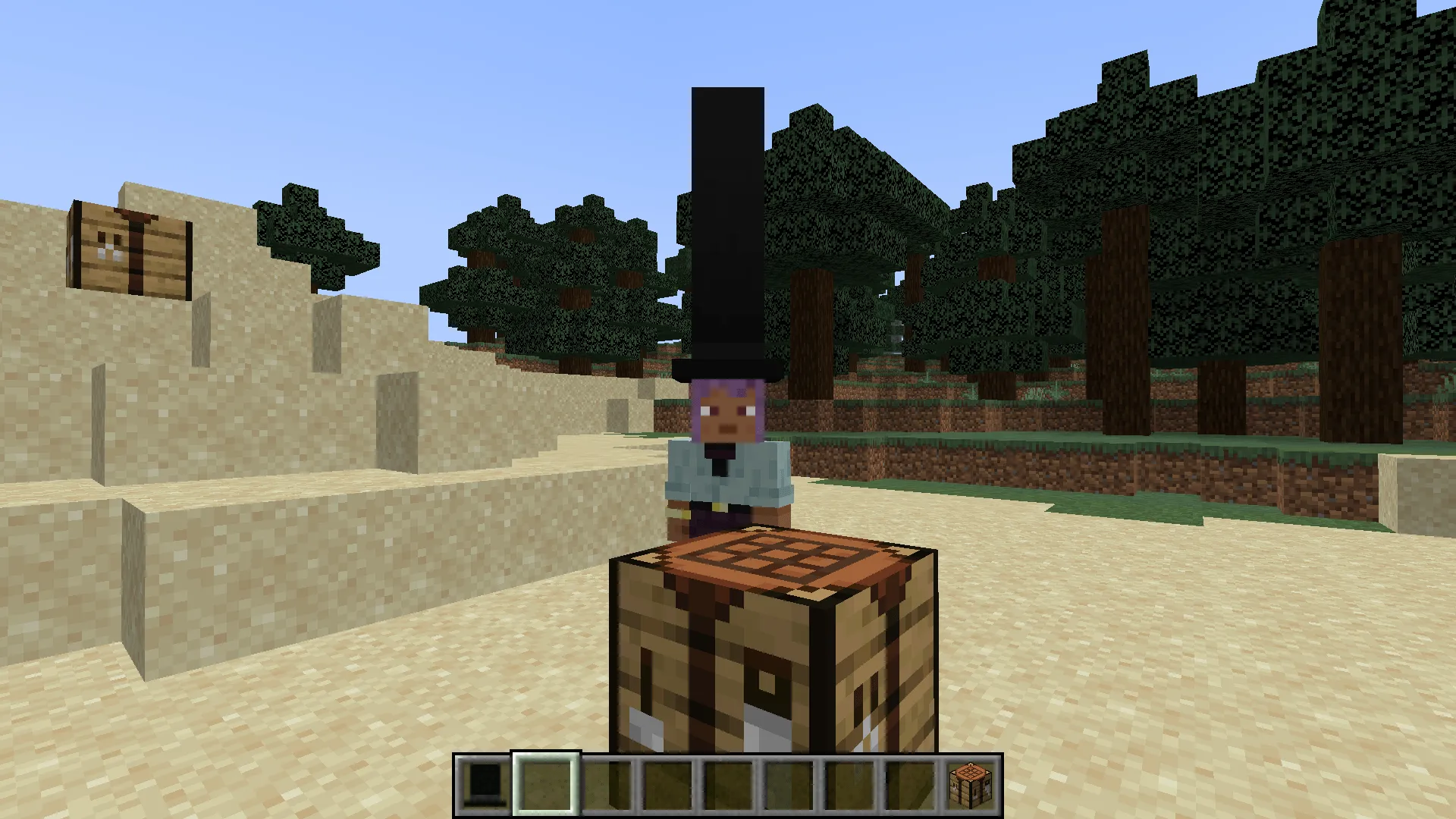 Long Cool Hat, Моды, Minecraft