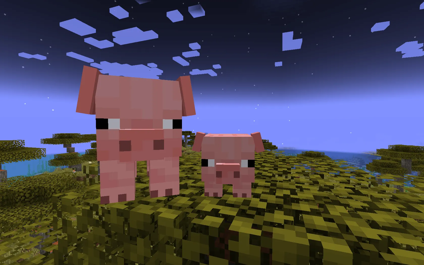Kassy's Pigs, Текстуры, Minecraft