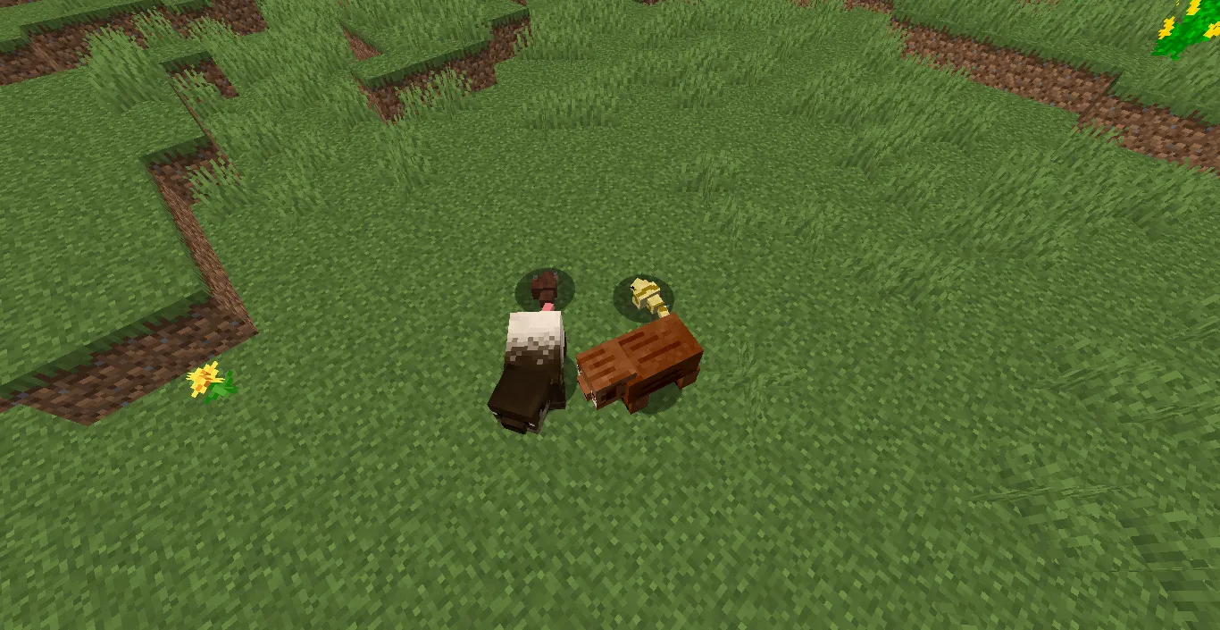 NoxMod, Моды, Minecraft