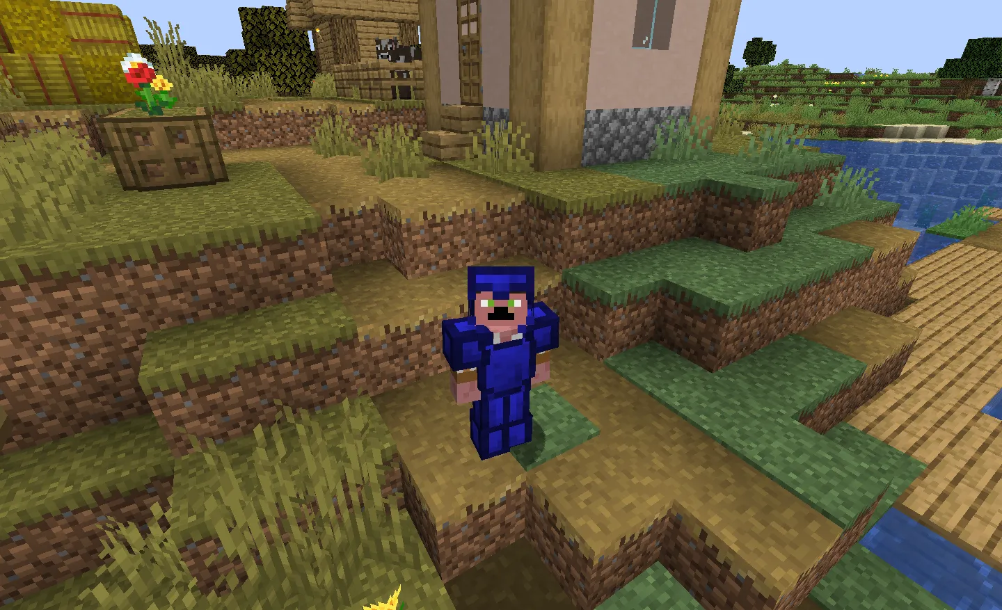 P Rolplay, Моды, Minecraft