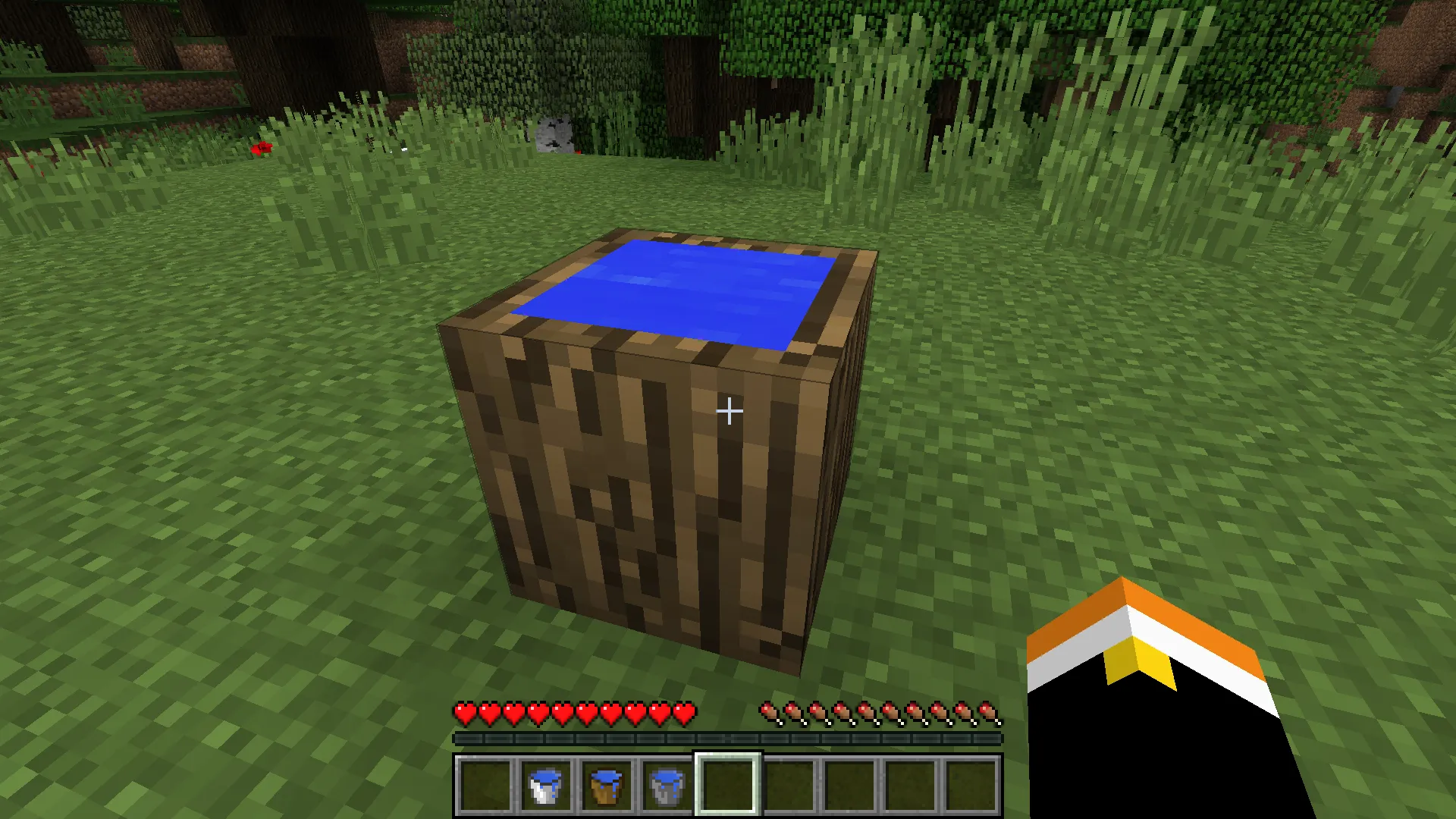Chaust, Моды, Minecraft