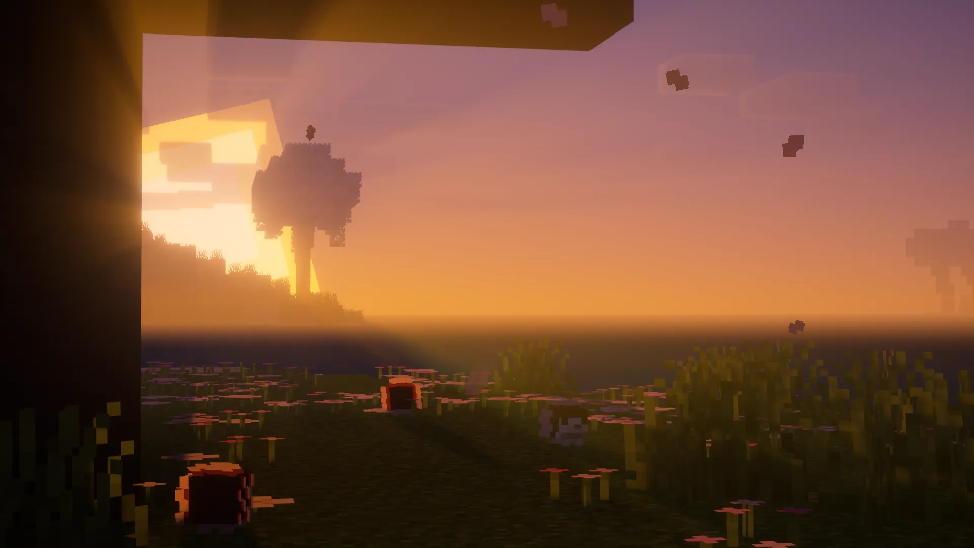 Will's Hedgehogs!, Моды, Minecraft