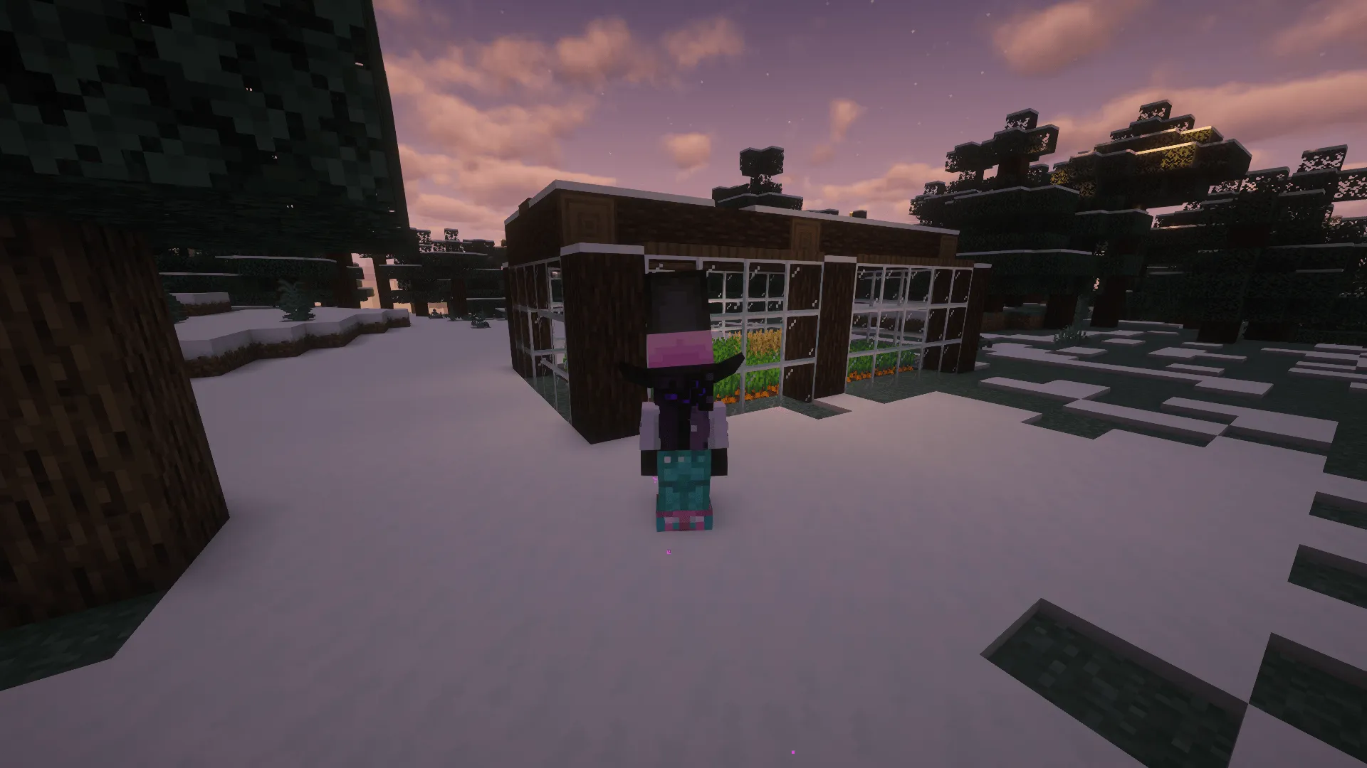 Axo's Custom Models, Текстуры, Minecraft