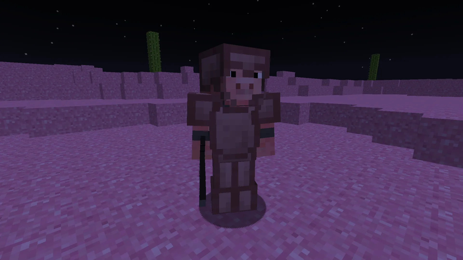 Pig Land, Моды, Minecraft