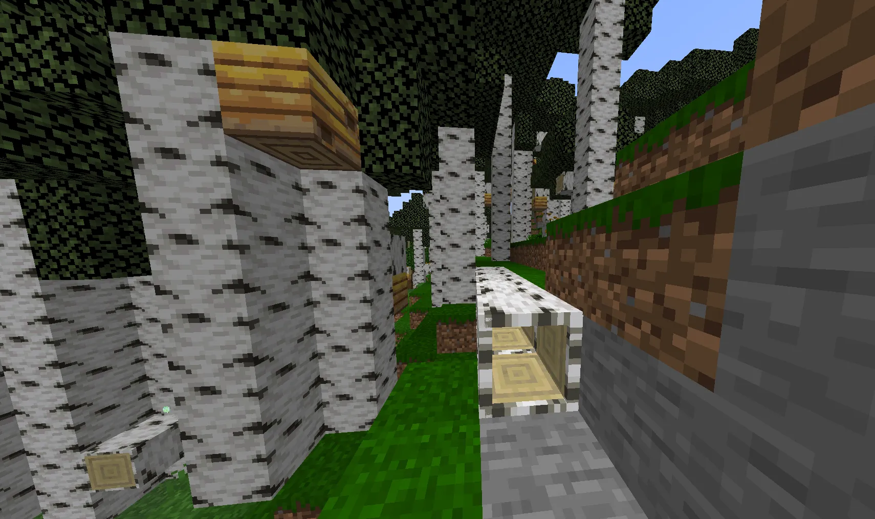 birch forest, Моды, Minecraft