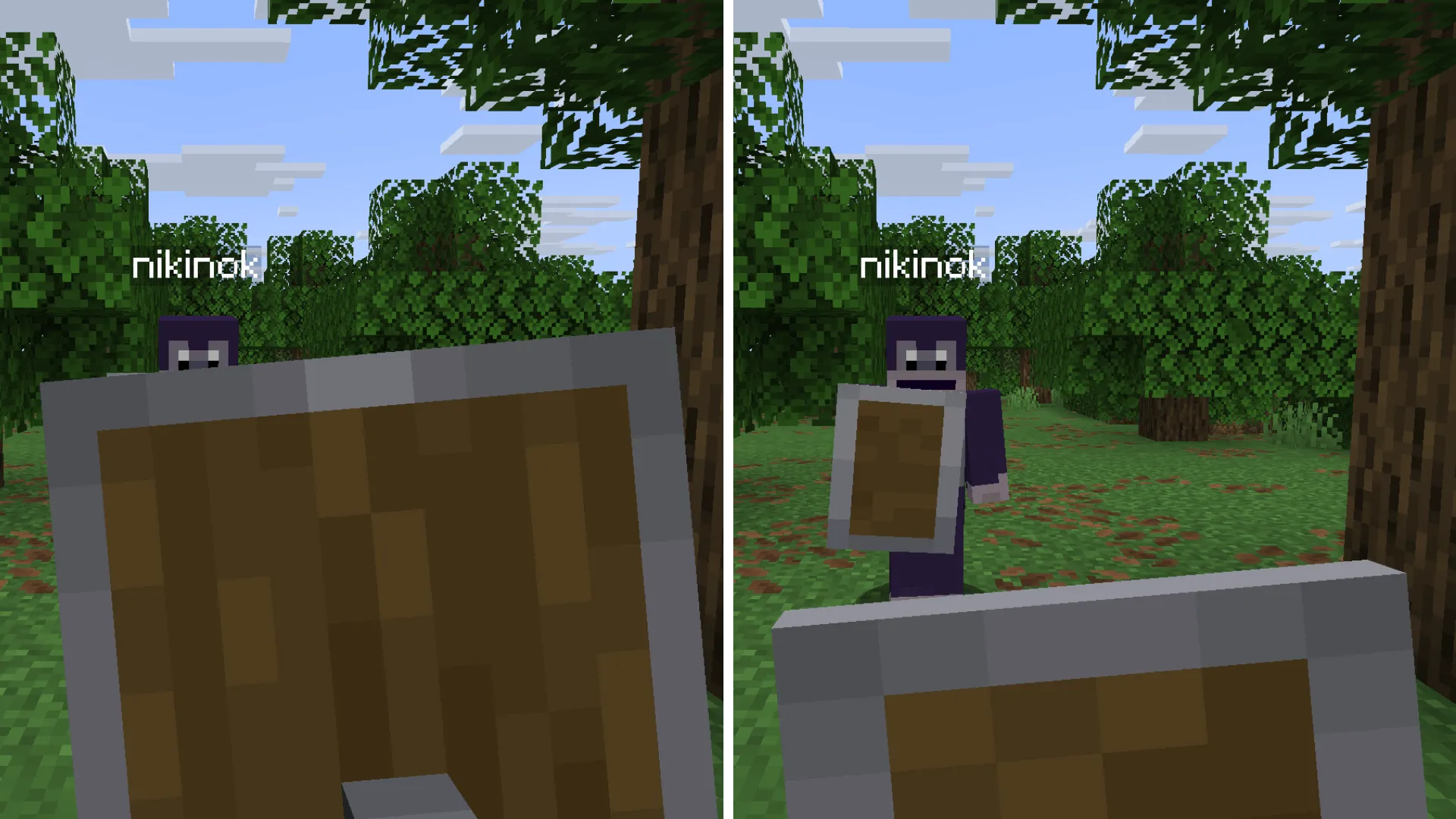 LowShield — скриншот 5 (Текстуры, Minecraft)