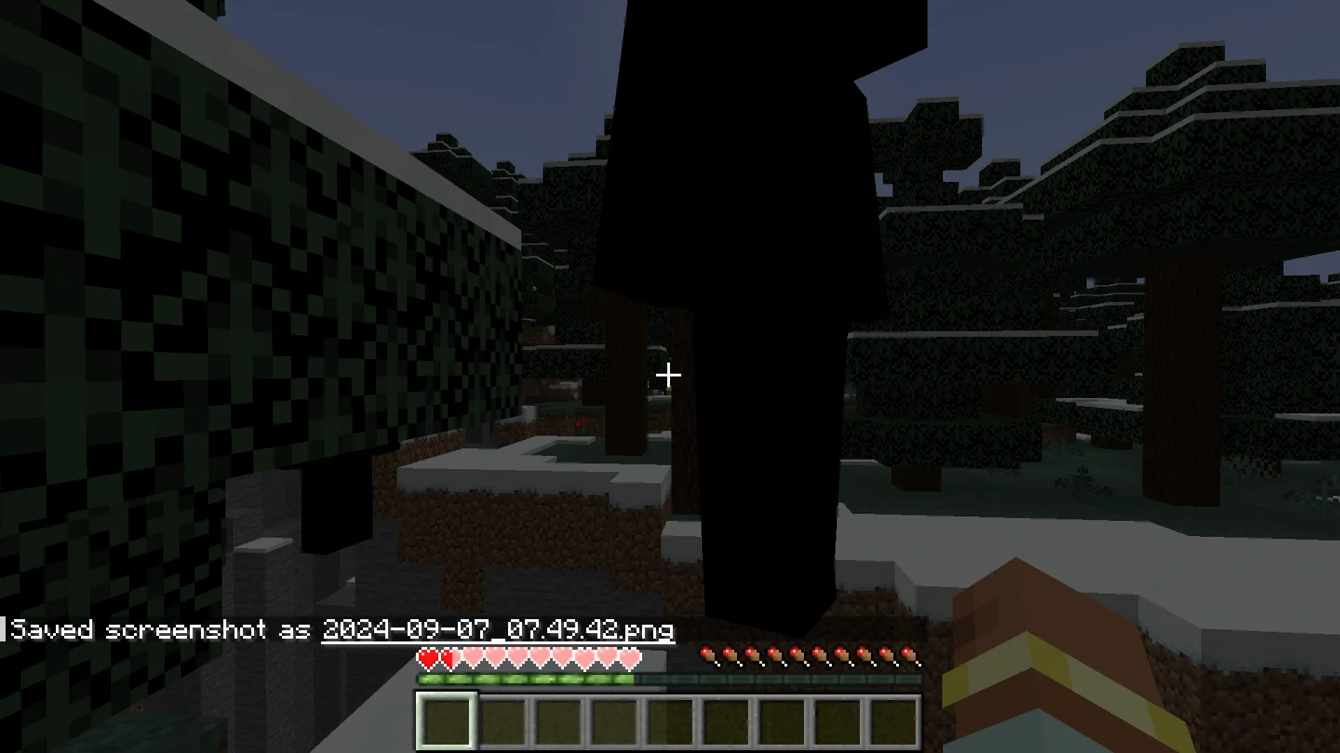The invisble one, Моды, Minecraft