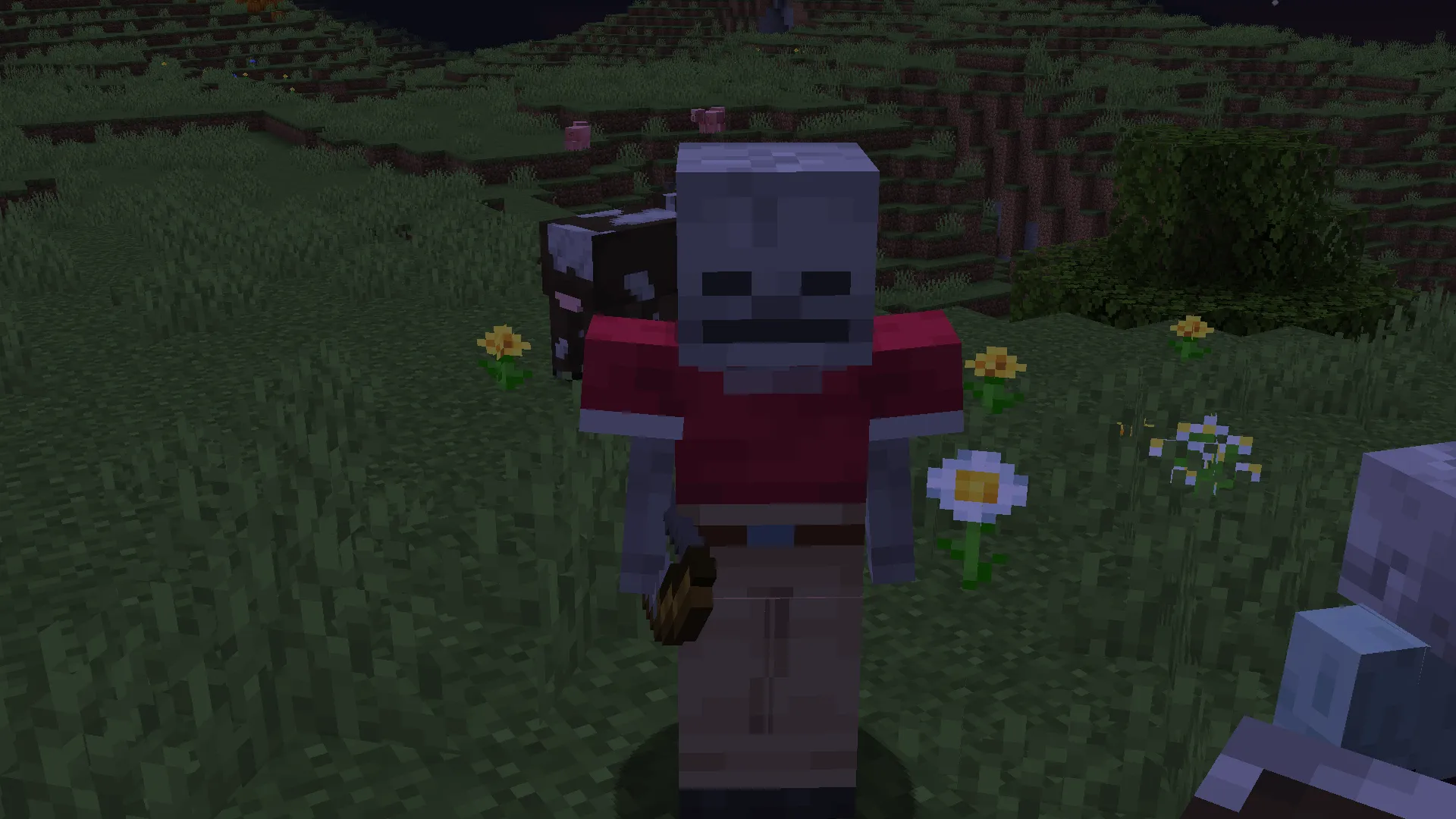 SFW Skeletons — скриншот 6 (Текстуры, Minecraft)