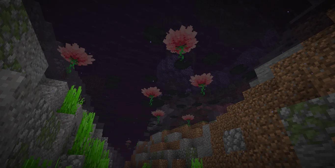 Whimsy Dark Water, Текстуры, Minecraft