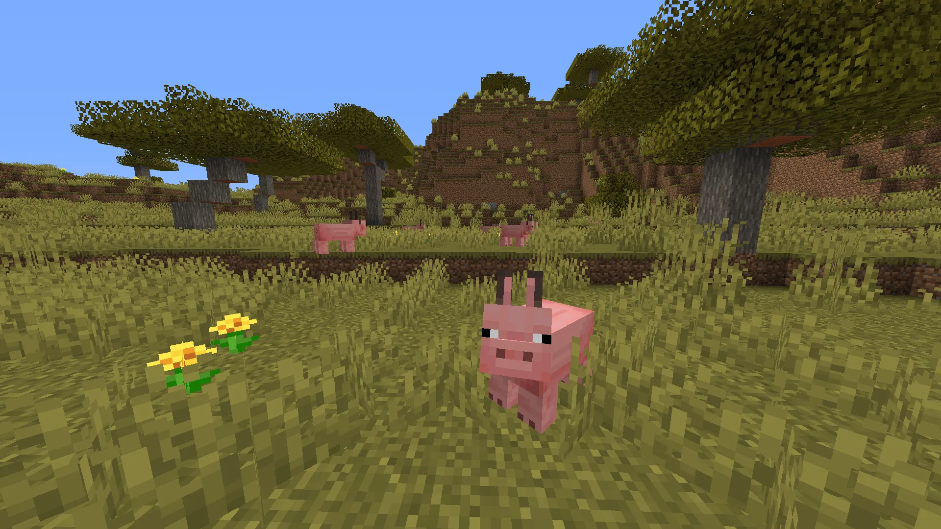 Muddy Rabbit Ears, Текстуры, Minecraft