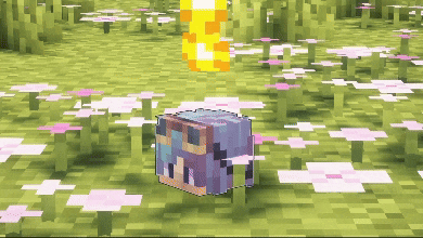 Player's Head Drop — скриншот 2 (Плагины, Minecraft)