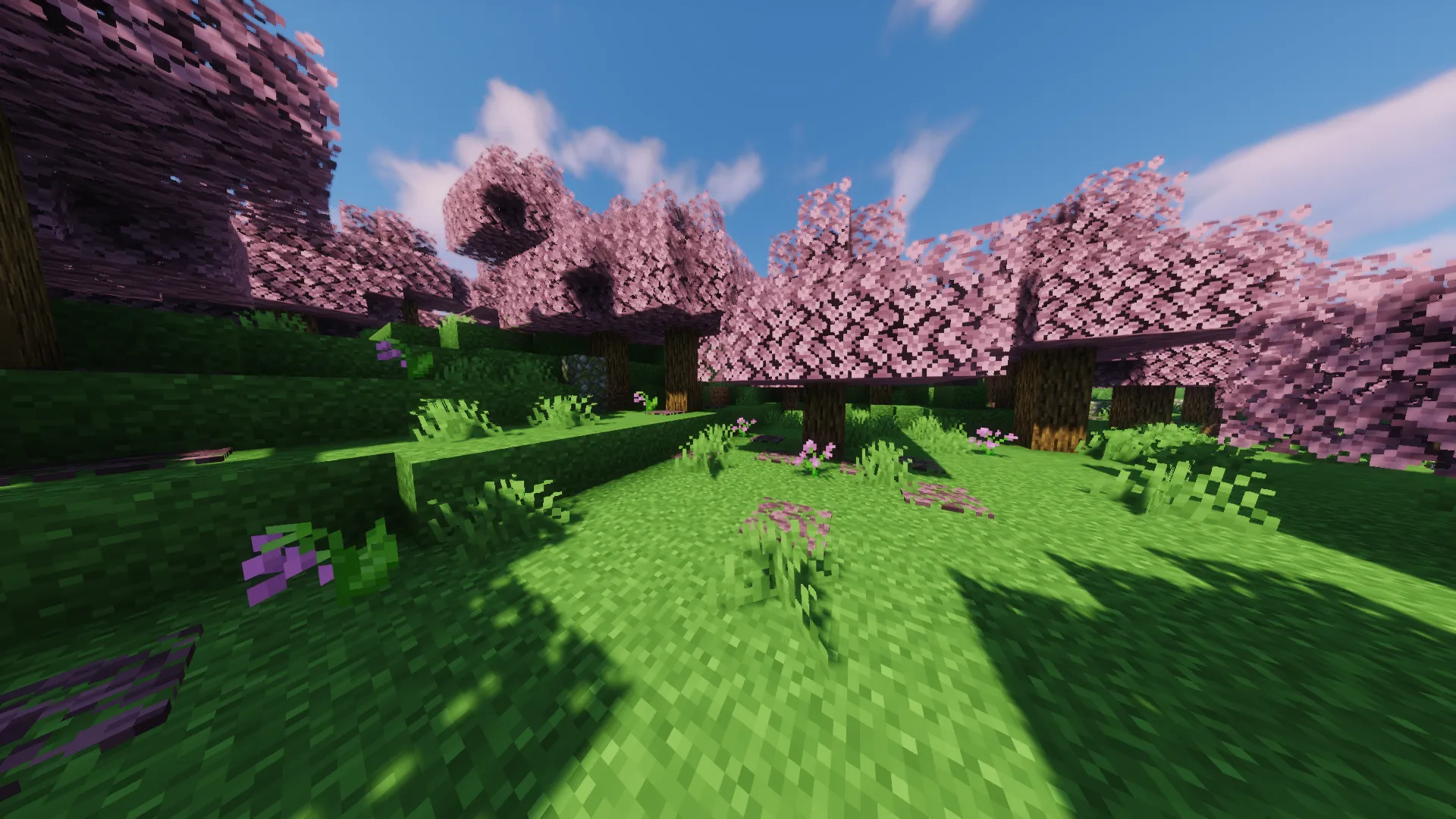 Db's Vanilla Biomes, Моды, Minecraft