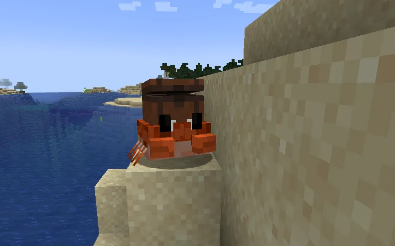 Pirates & Treasures, Моды, Minecraft