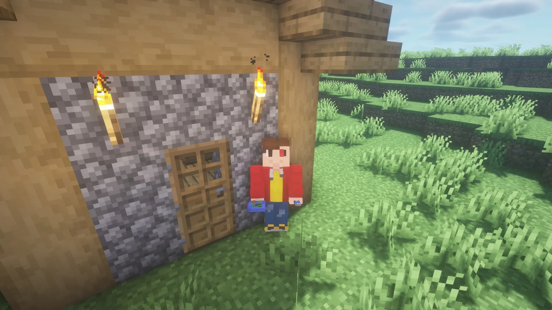 DiabetesMasters, Моды, Minecraft