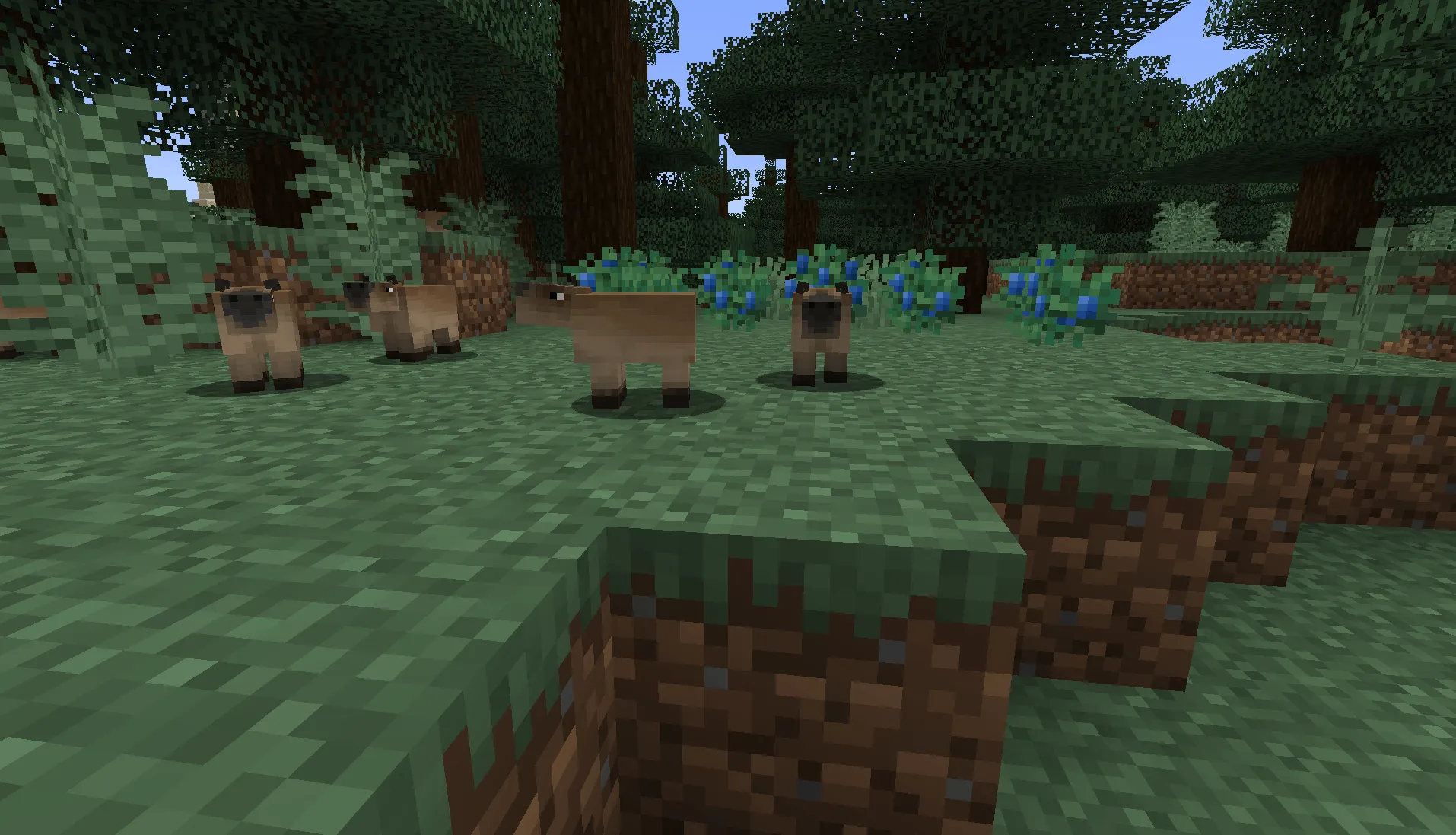 More Of All!, Моды, Minecraft