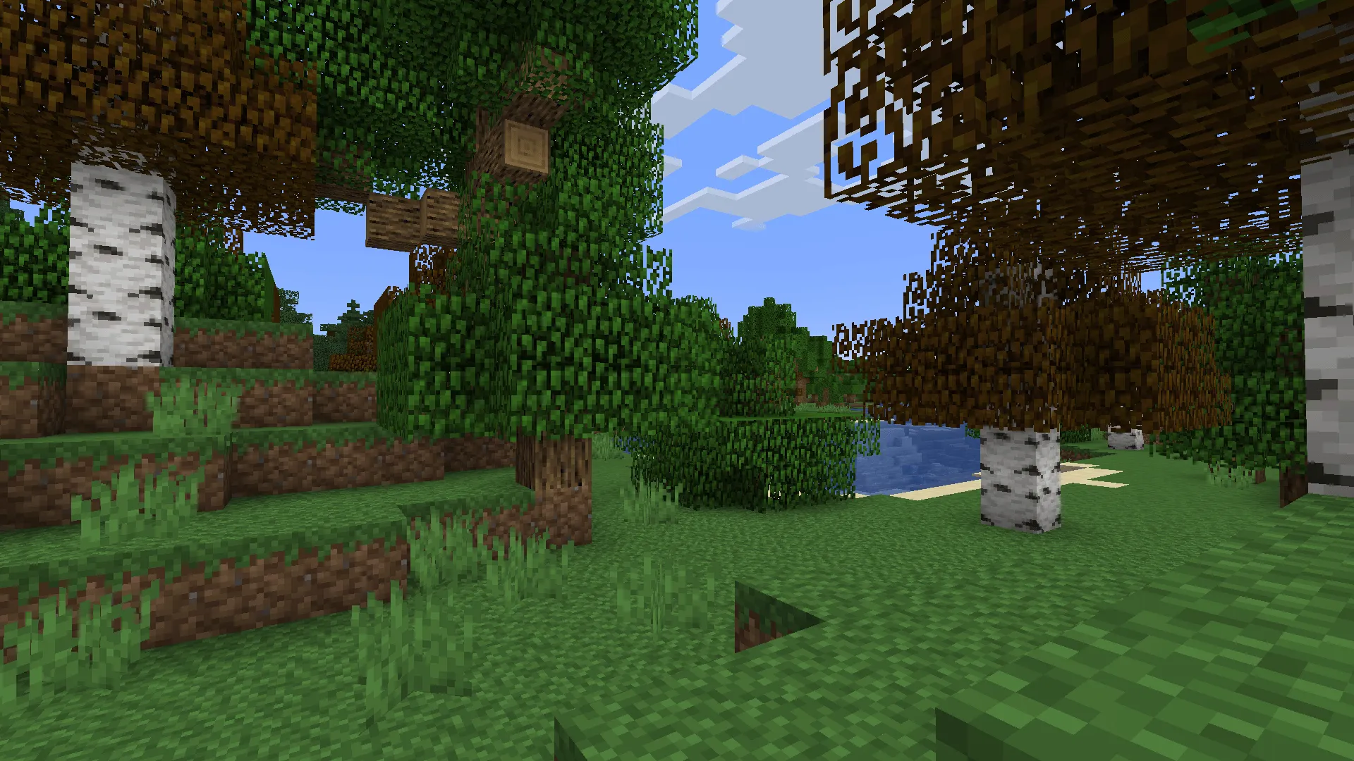 Snaxium, Текстуры, Minecraft