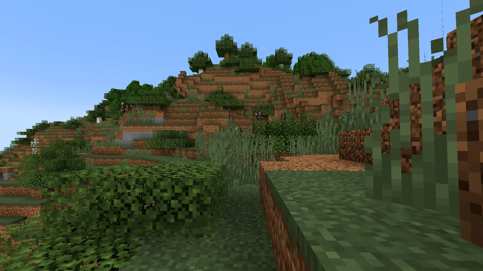 Biome Fest, Моды, Minecraft