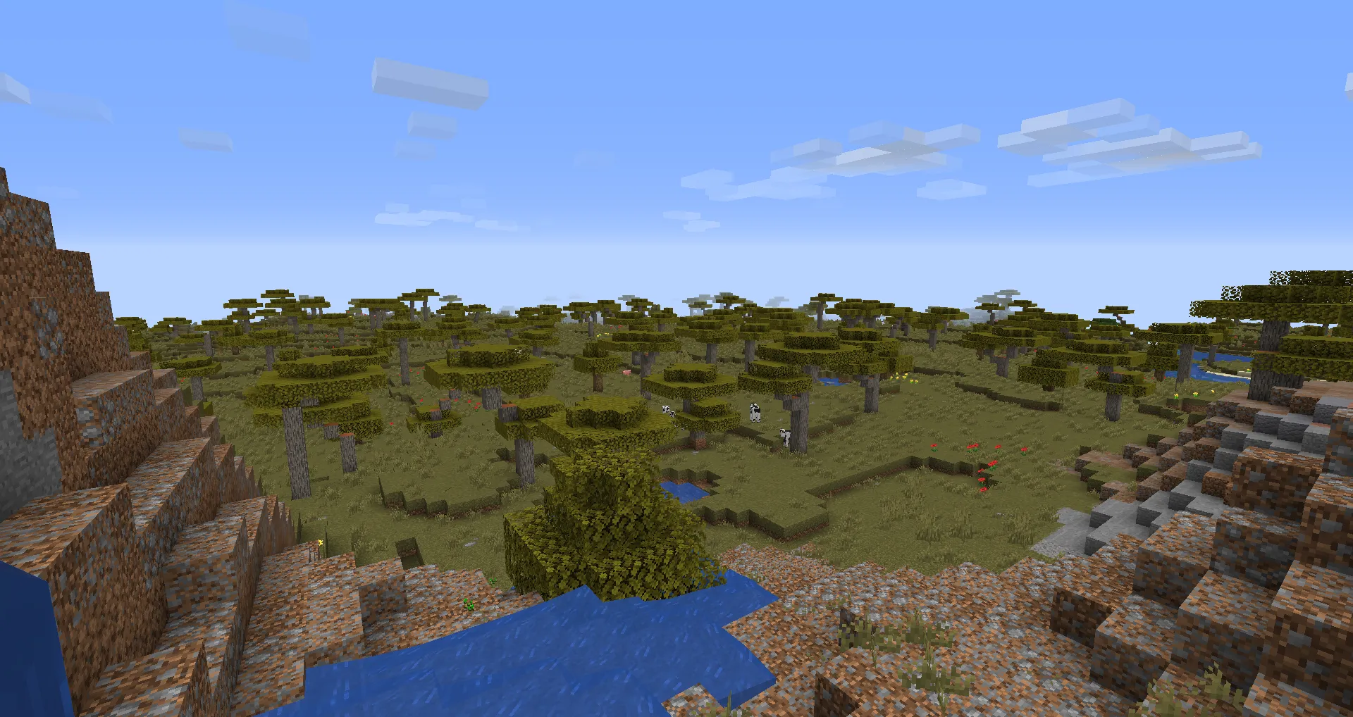 Steve Adventures, Текстуры, Minecraft