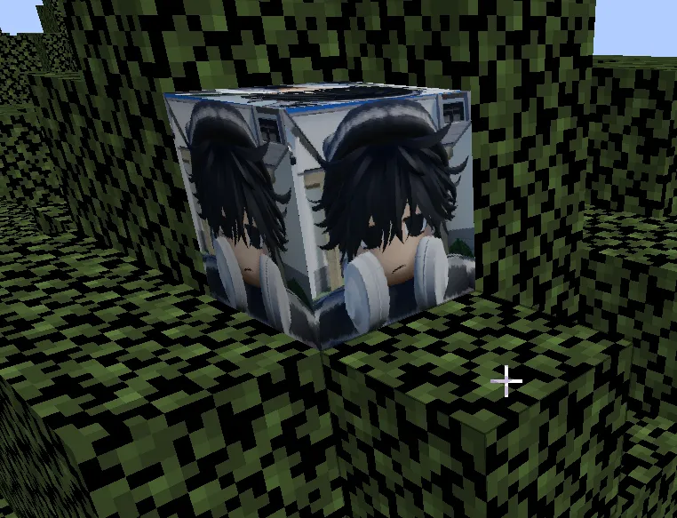 Roy's Power, Моды, Minecraft
