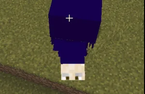 Joe Biden Sniffer, Текстуры, Minecraft