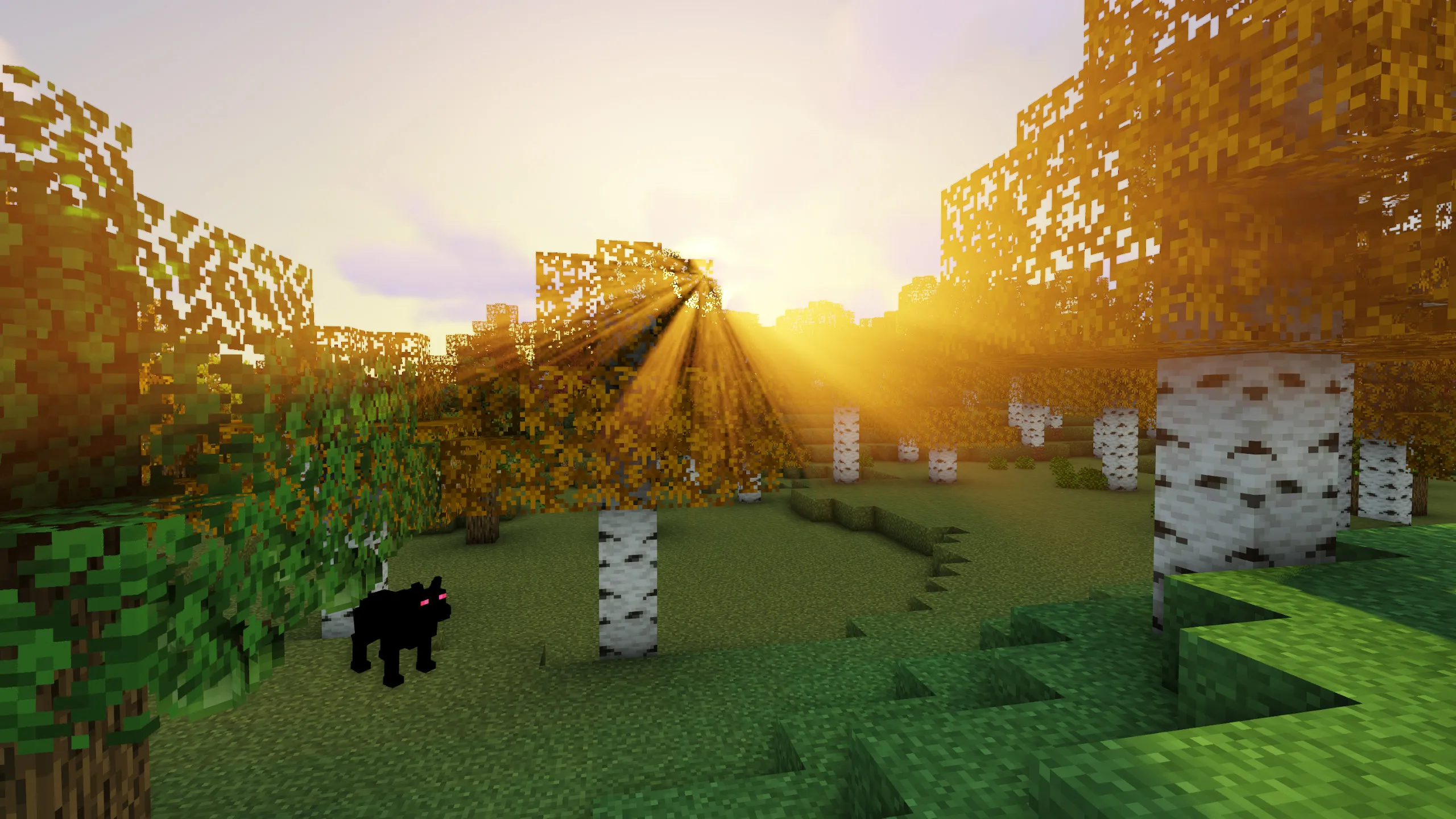 Back in the Woods — скриншот 2 (Модпаки, Minecraft)