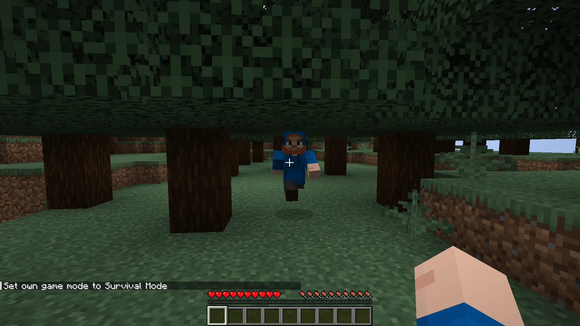 Caseoh's Paradise, Моды, Minecraft